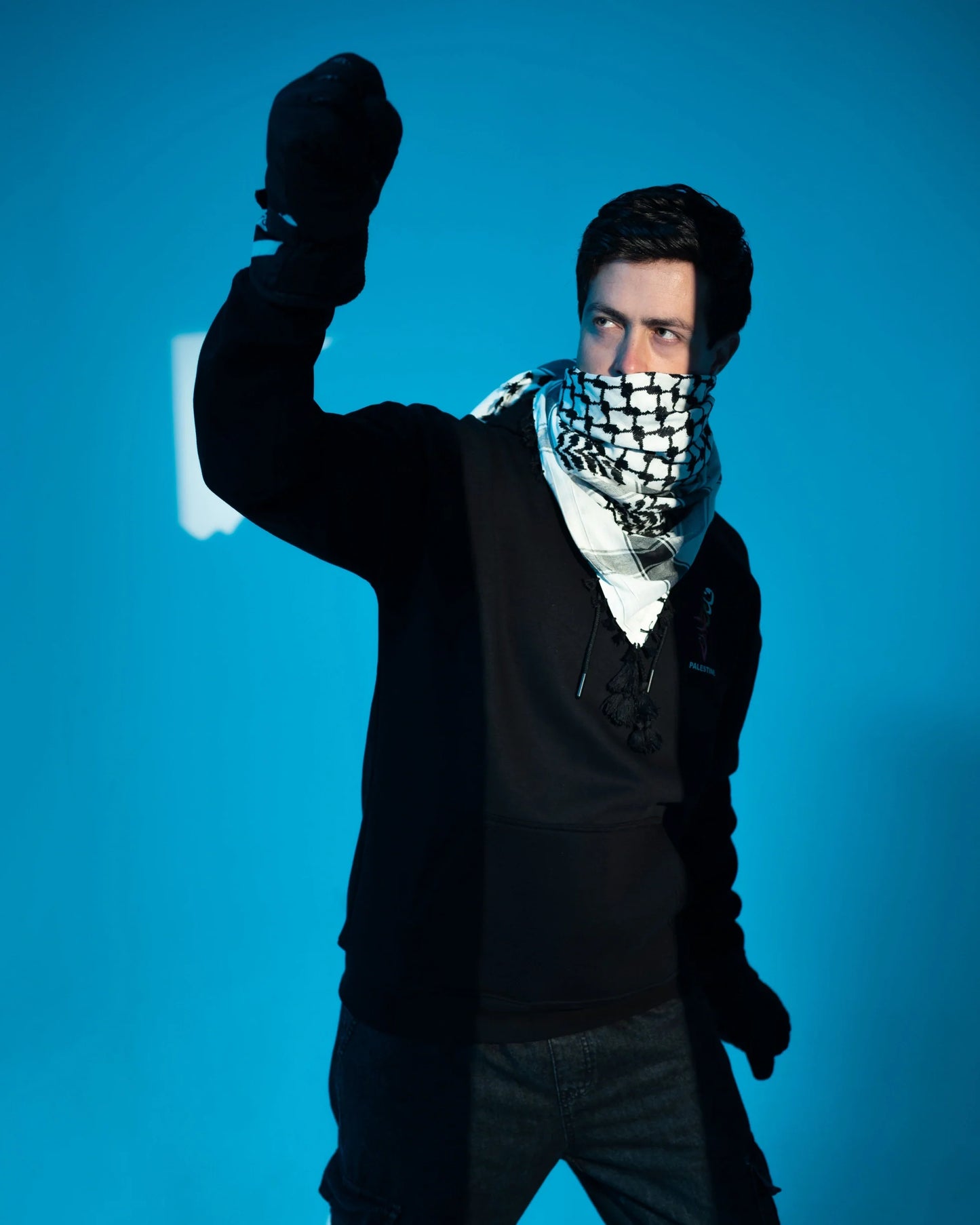 Yafo Fabric: Palestine