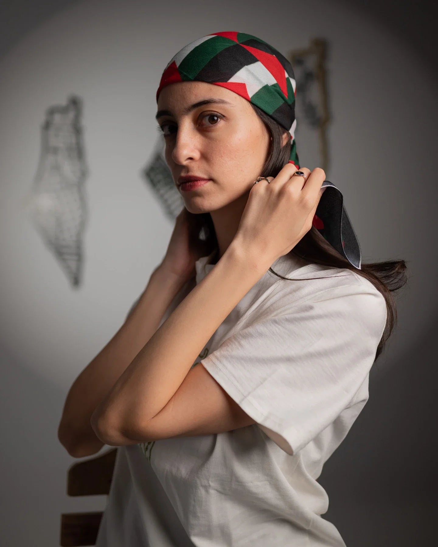 Camiseta de algodón bordada con el mapa de oliva de Palestina