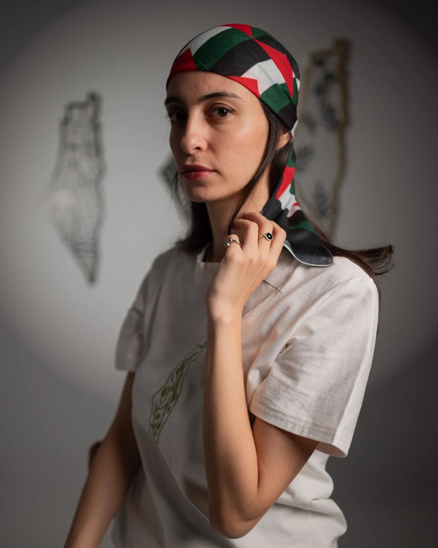 Camiseta de algodón bordada con el mapa de oliva de Palestina